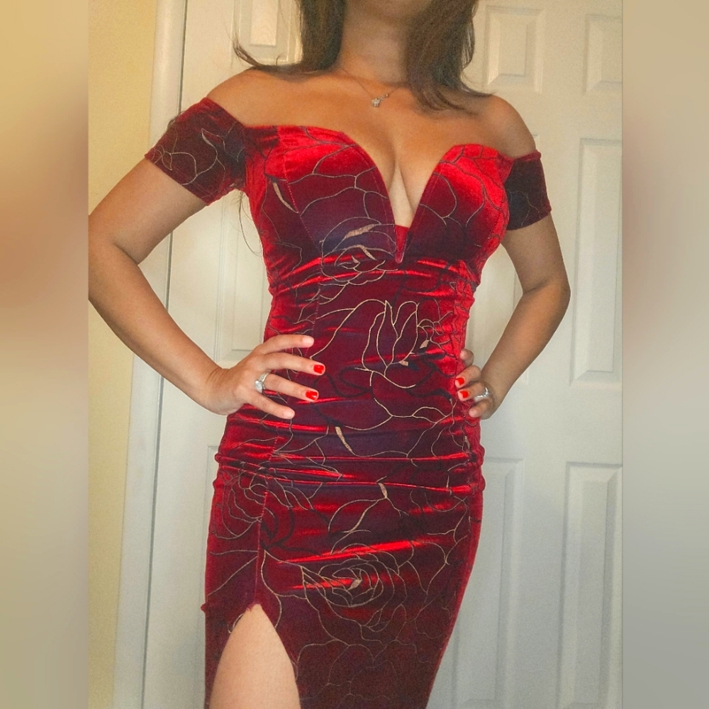 Agaci Red Floral Velet Dress